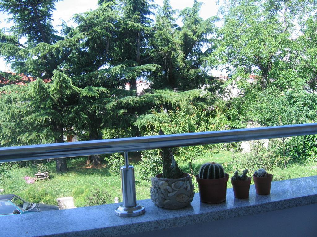 Apartment Cvjetna Rijeka Værelse billede